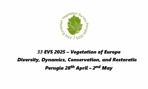 33 EVS 2025