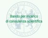 Bando per incarico di consulenza scientifica