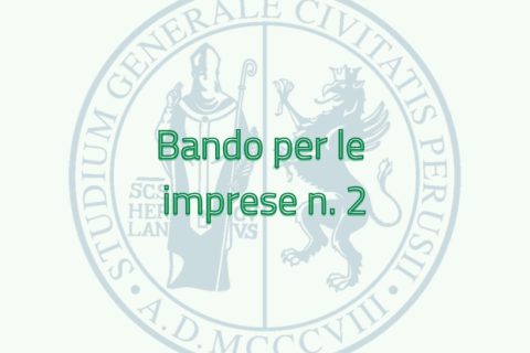 Bando per le imprese n. 2