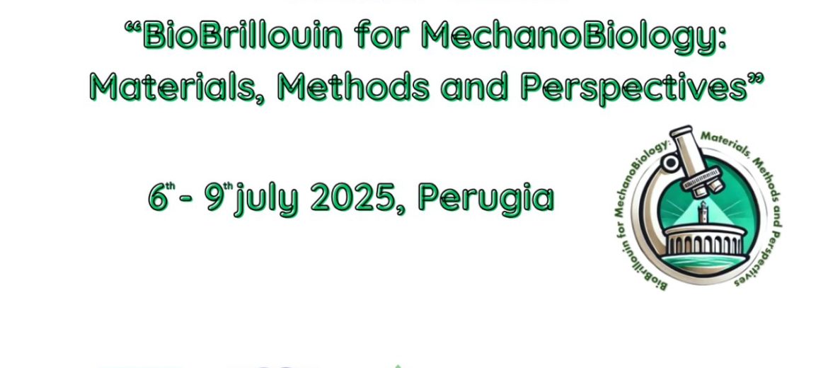 BioBrillouin for Mechanobiology – Summer School