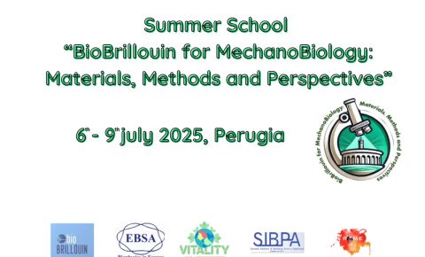 BioBrillouin for Mechanobiology – Summer School