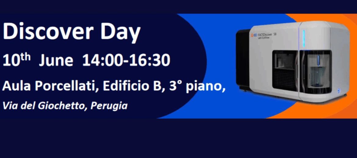 Discover Day