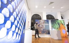 Materiality_09012025_13-scaled