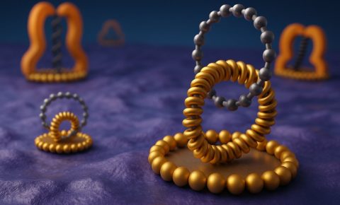 Nanomachines and Motors in Biology and in Chemistry