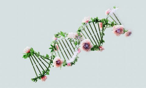 Spring School on Biotechnology Cop