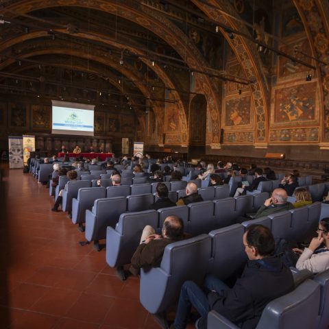 Giorgio Parisi Lectio Magistralis Università di Perugia- Maurizio Oliviero- Luca Gammaitoni