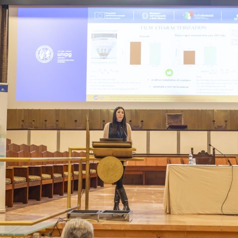 Giorgio Parisi Lectio Magistralis Università di Perugia- Maurizio Oliviero- Luca Gammaitoni
