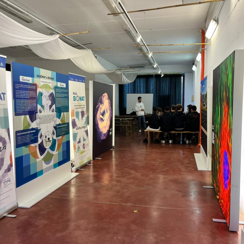 WhatsApp Image 2025-11-11 at 15.47.27(1)