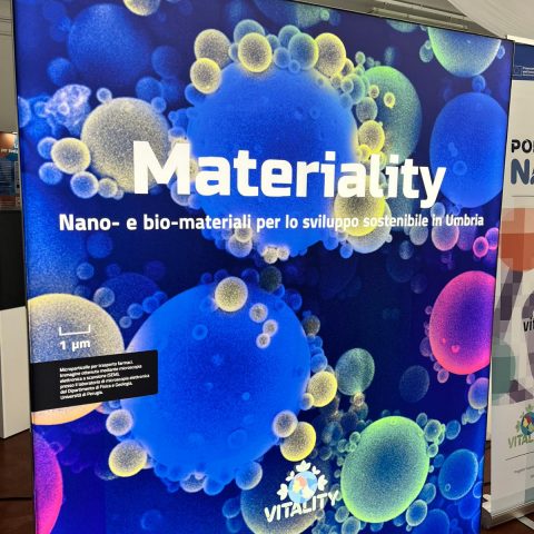 WhatsApp Image 2025-11-11 at 15.47.27(2)