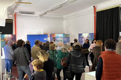 WhatsApp Image 2025-11-17 at 08.50.13(2)