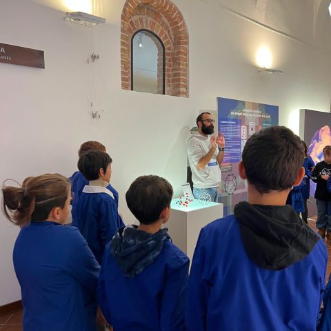 WhatsApp Image 2025-11-21 at 15.25.14