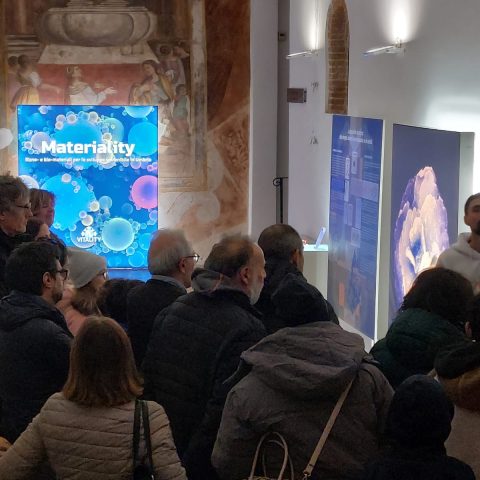 WhatsApp Image 2025-11-29 at 17.24.21(1)